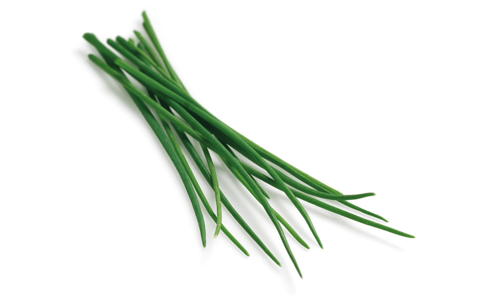 Featured image De Kruidenaer – Bieslook