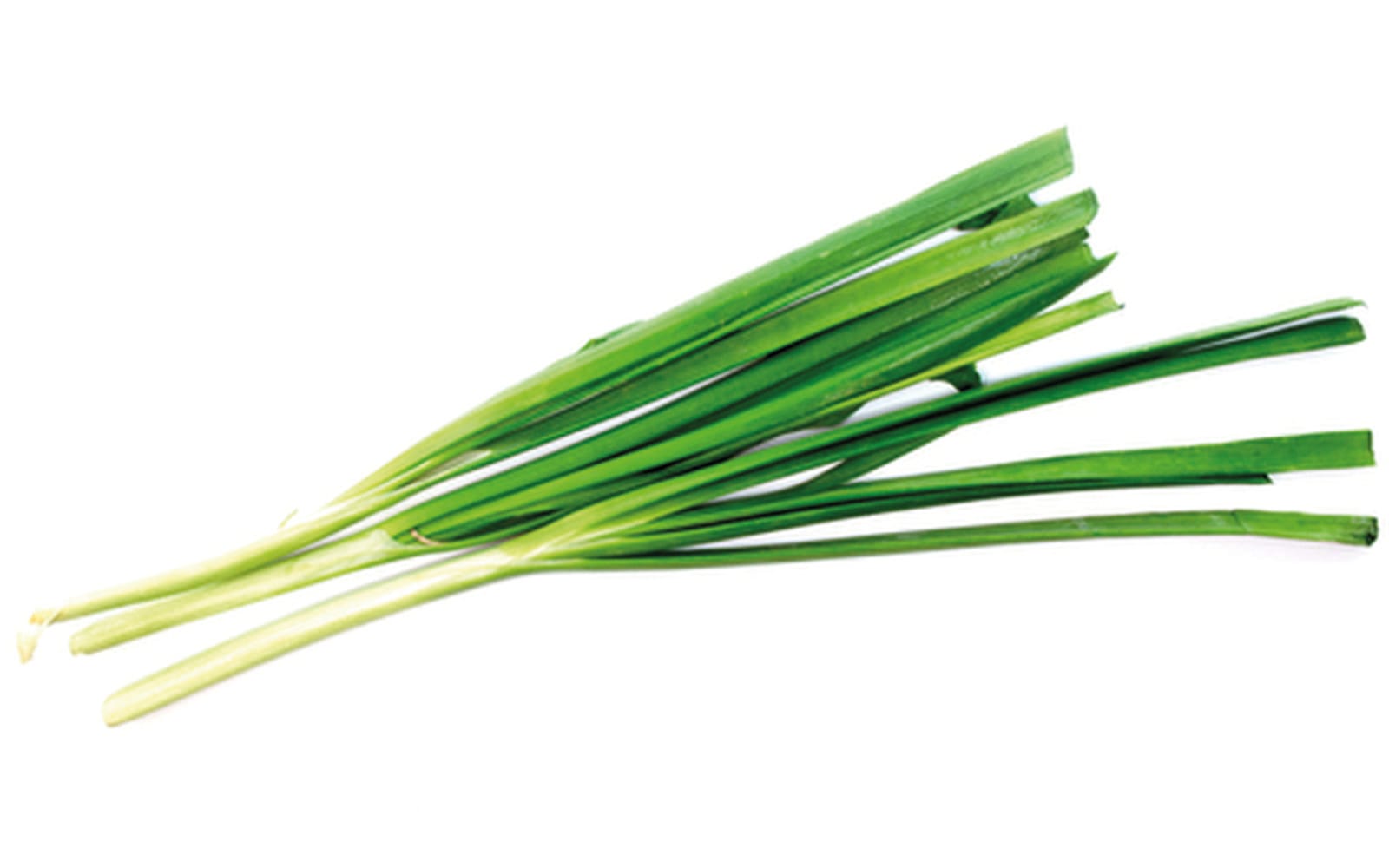 Featured image De Kruidenaer – Chinese bieslook