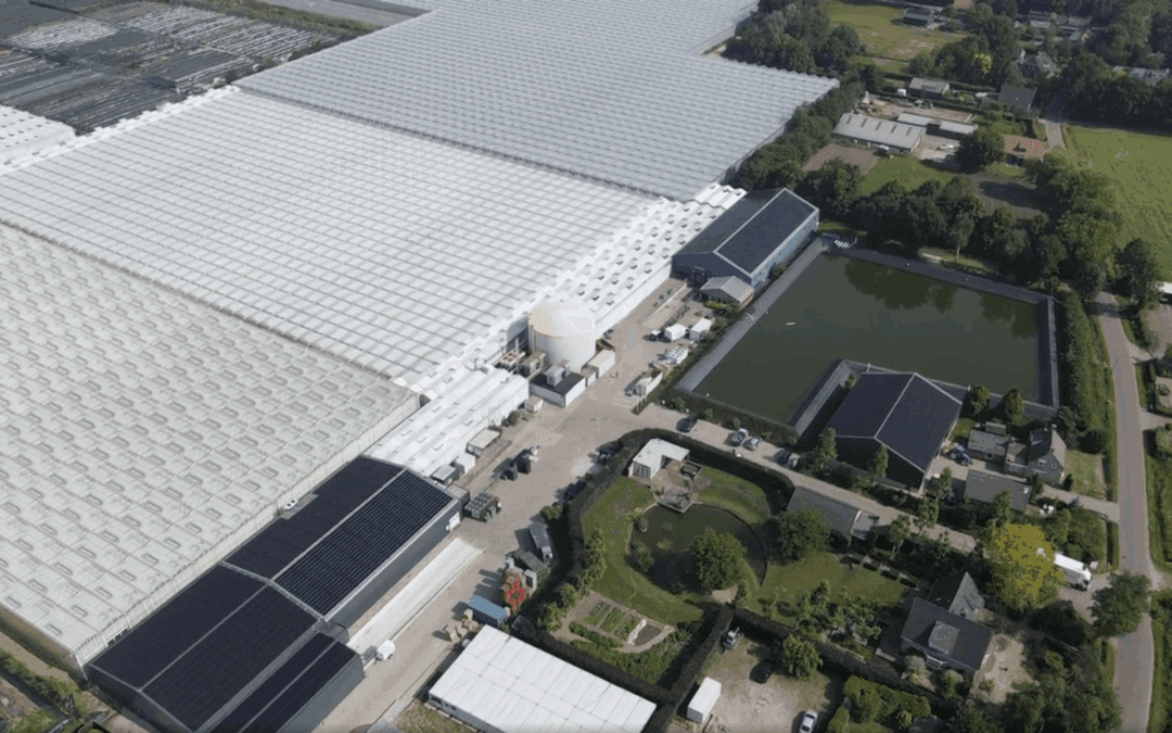De Kruidenaer zet stappen met de uitbreiding van 808 extra zonnepanelen