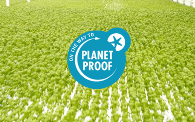 Al onze geteelde kruiden voldoen aan ‘On the way to PlanetProof’.